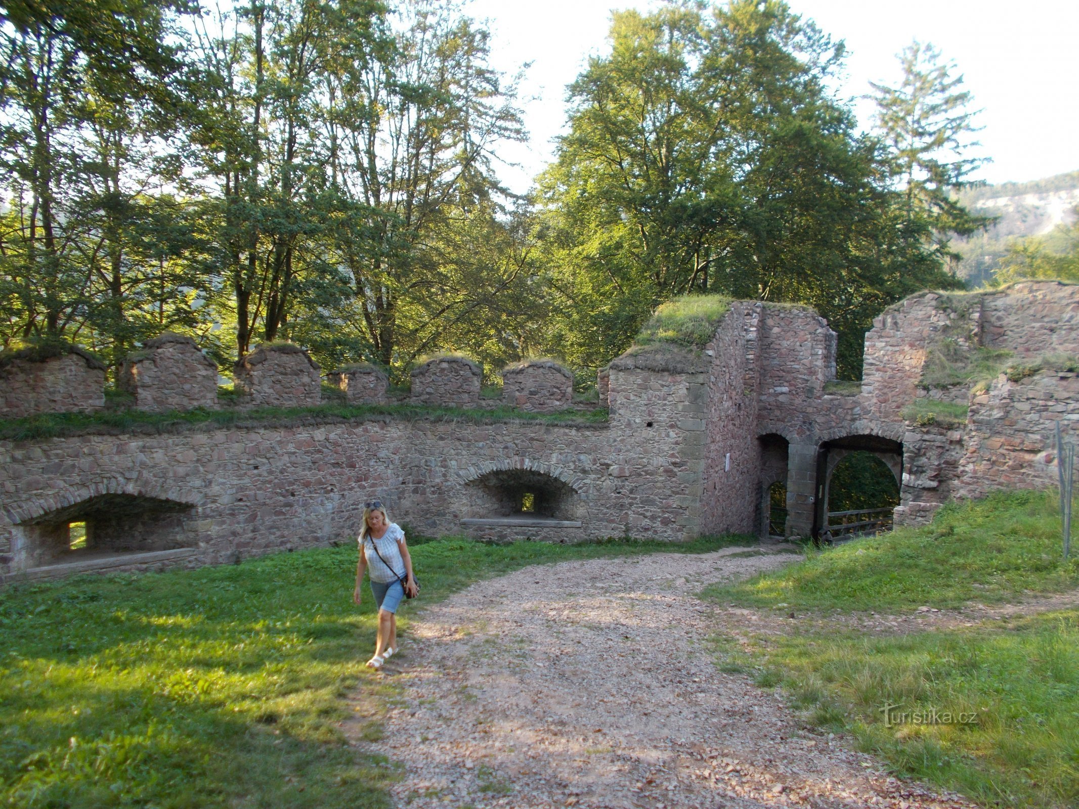 Castillo de litice