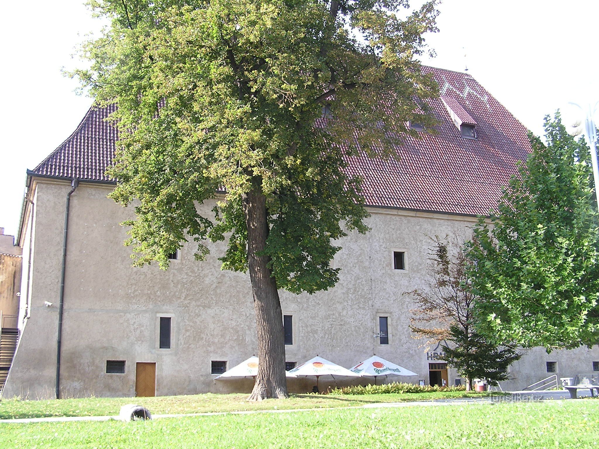 Hrad Litoměřice (9/2013)