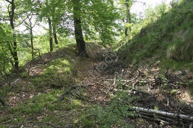 hrad na Dubovém vrchu, Doubek