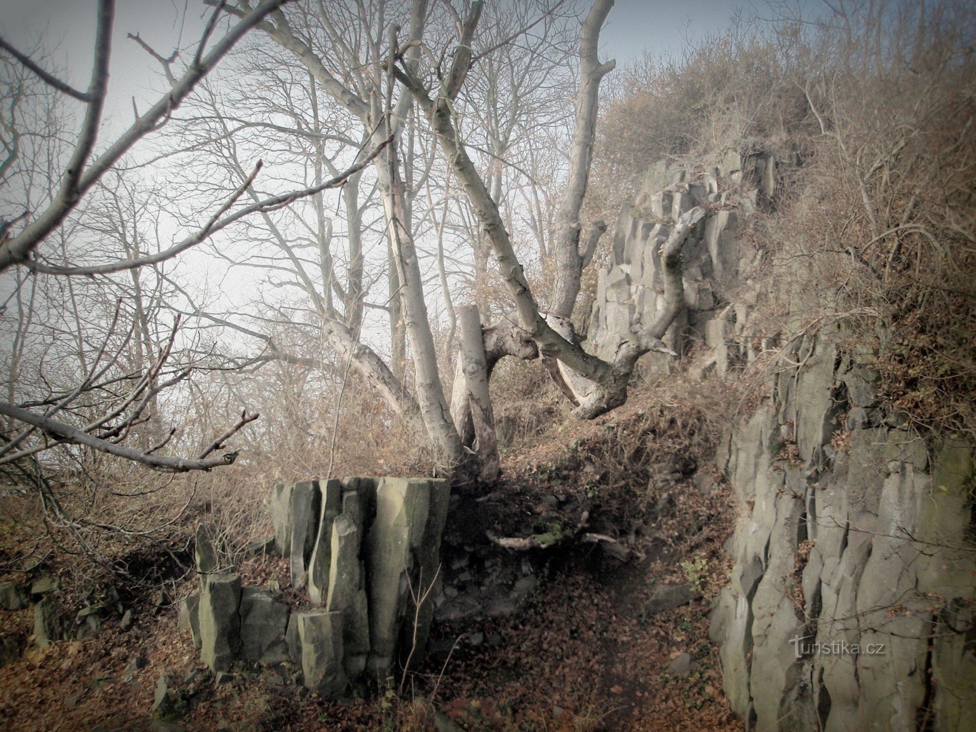 Castelo de Ostrý perto de Milešov