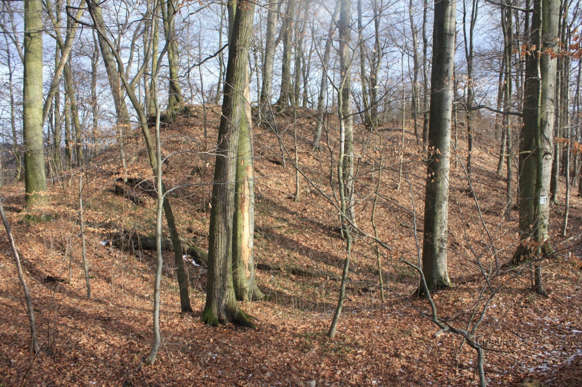 Ronov Castle - general view of the former castle grounds