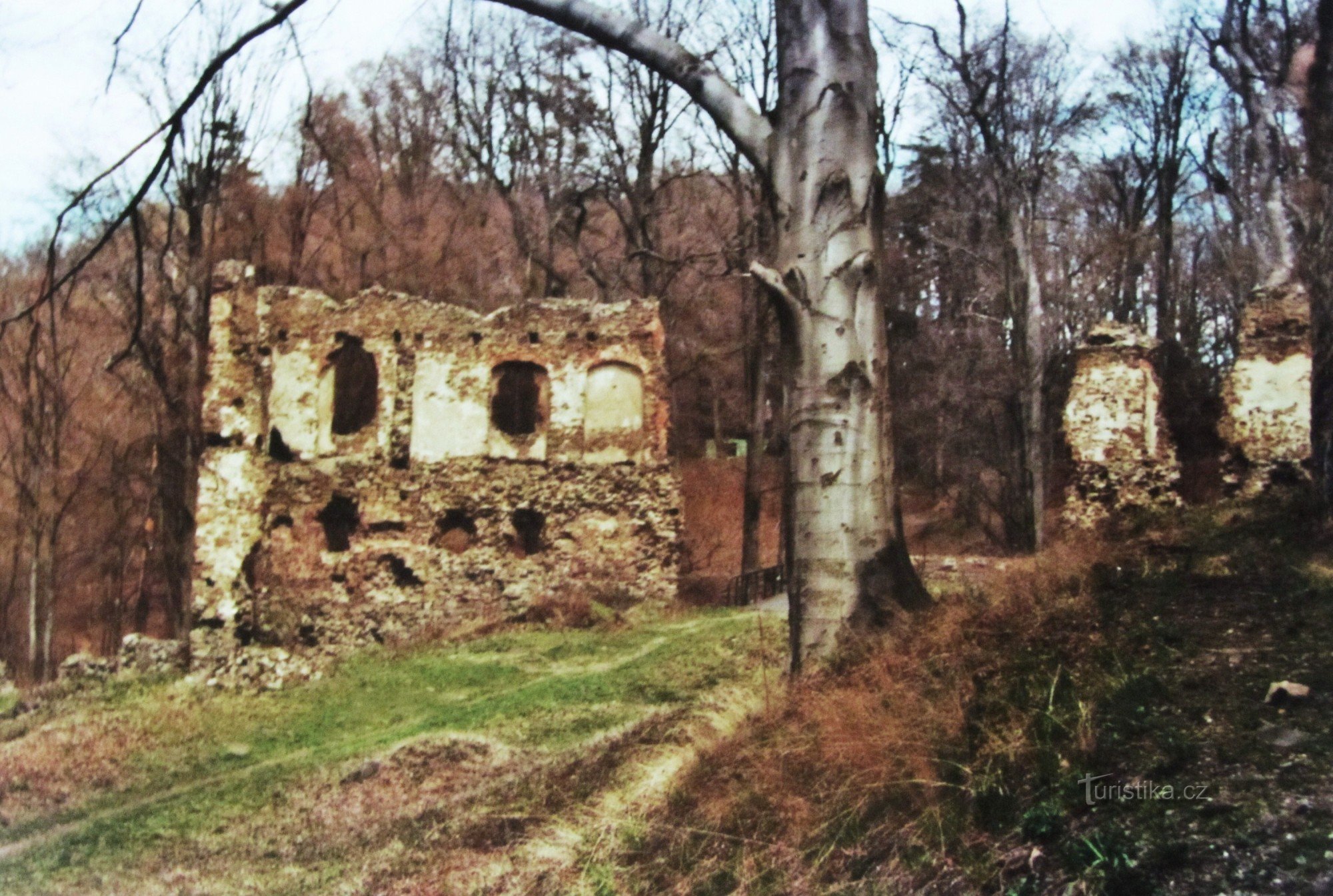 Burg Vikštejn