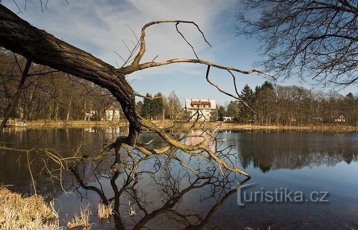 Lagoas de Hradčany