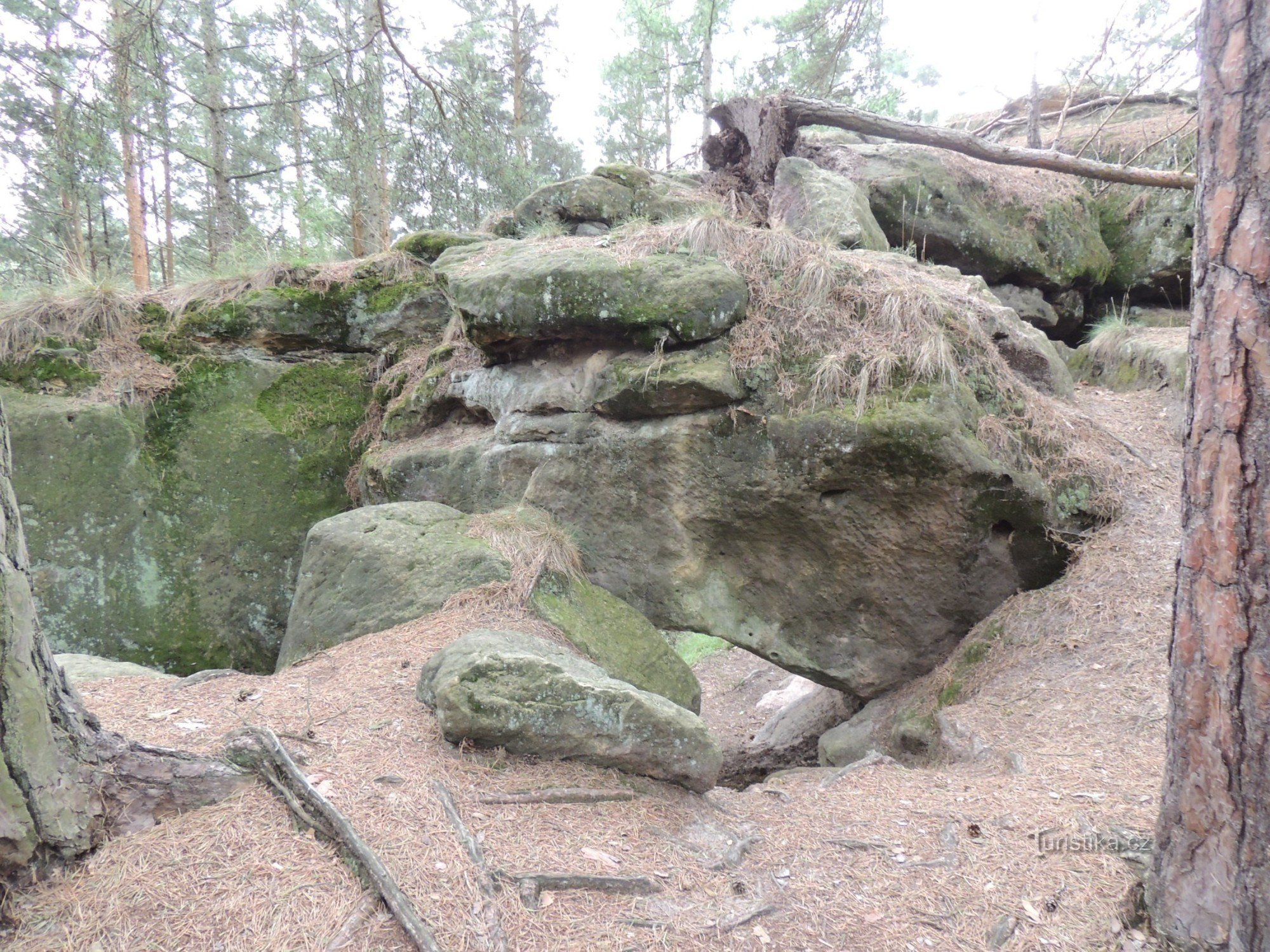 Hradschin - Hundekirchen, Felsentor, Tvarožník