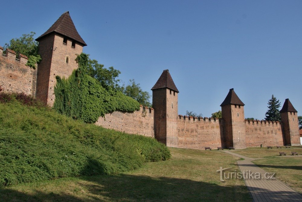 muur riem