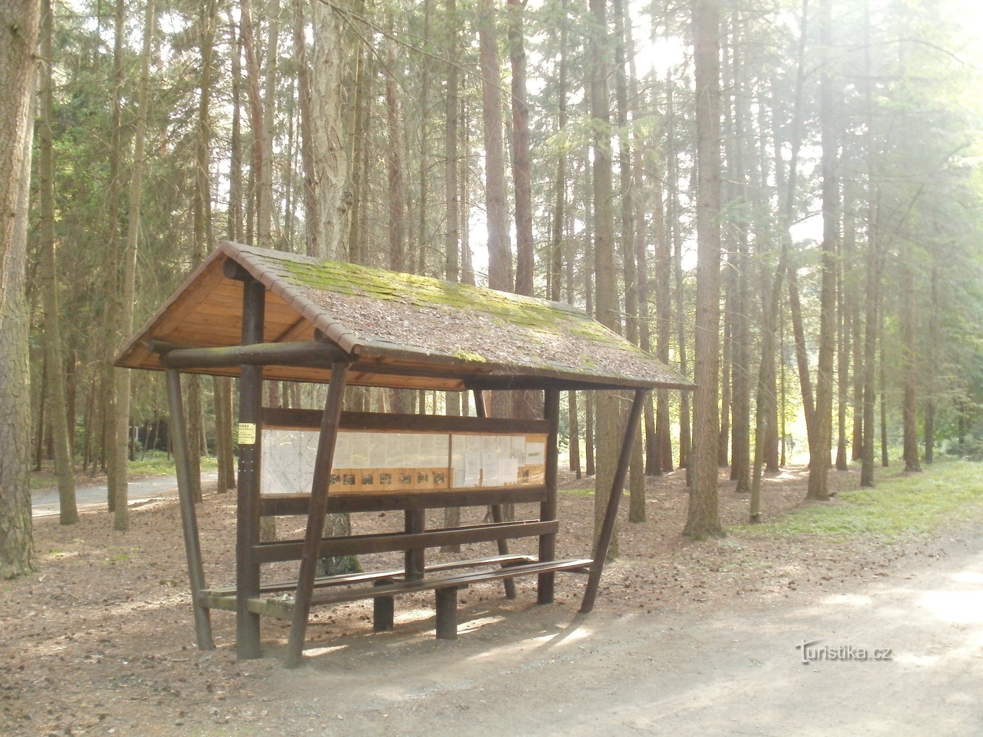 Hradec Králové - cimitero forestale