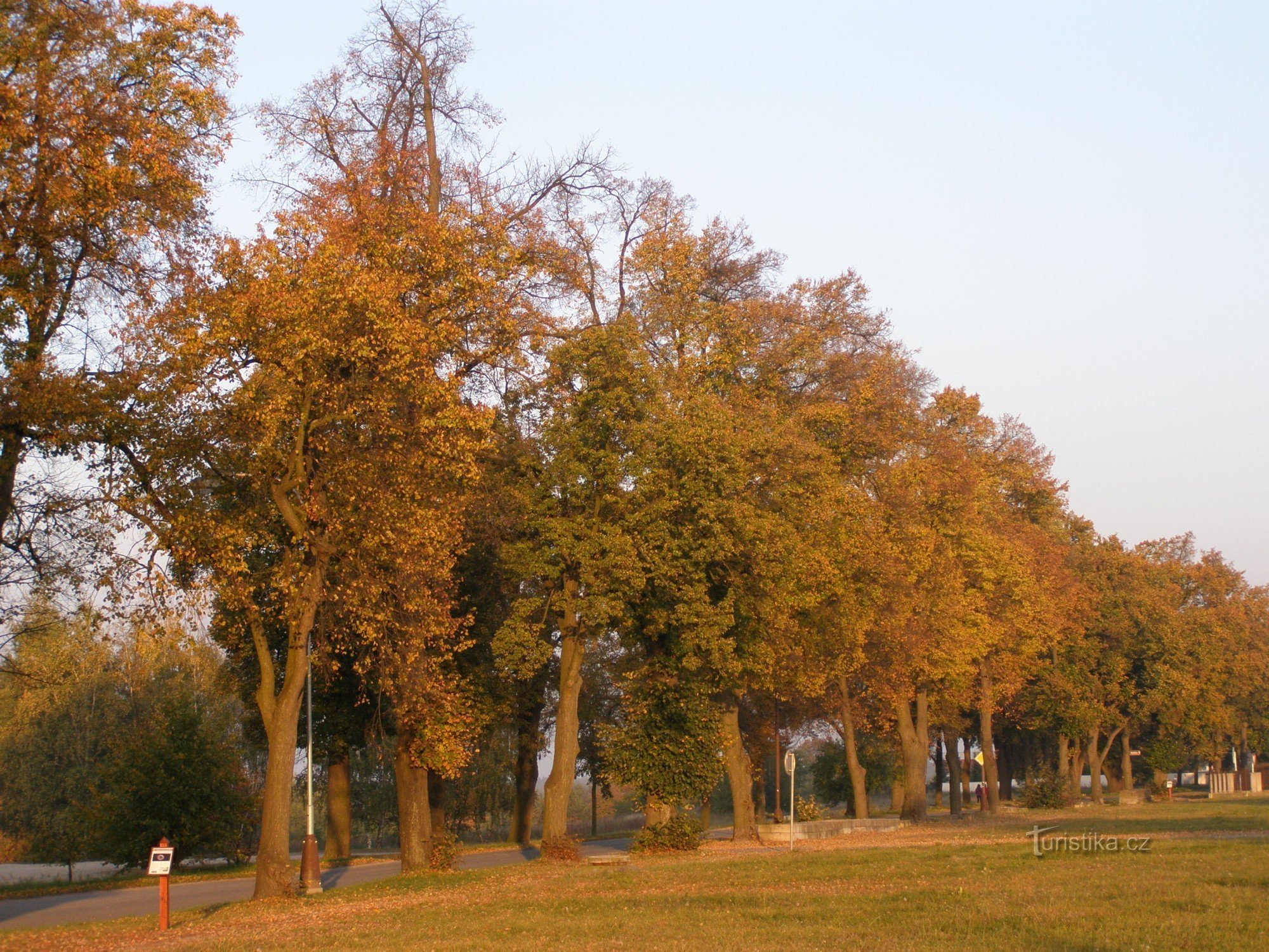 Hradec Králové - Nové HK の菩提樹の路地