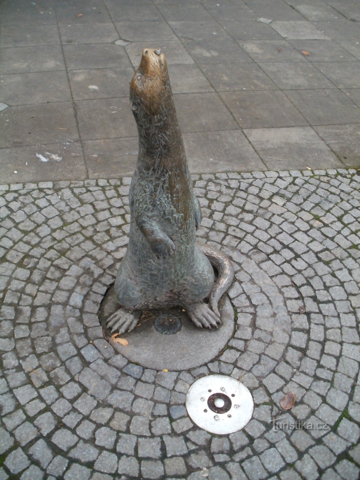 Hradec Králové - plaza con la nutria Eliška