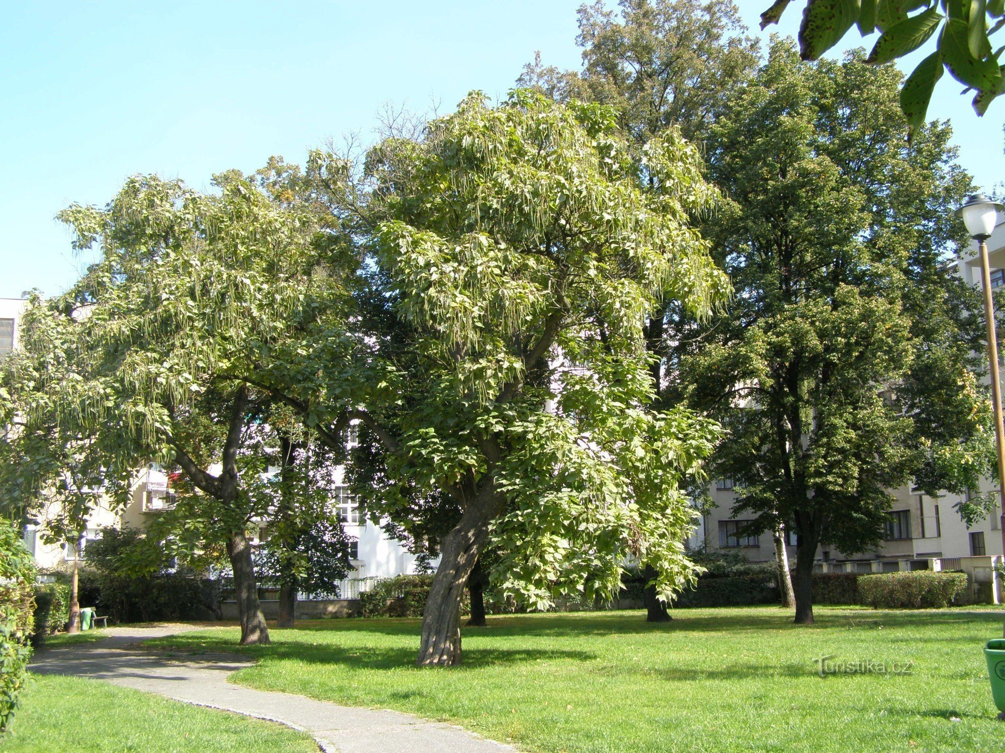 Hradec Králové - le suite dell'architetto Liska