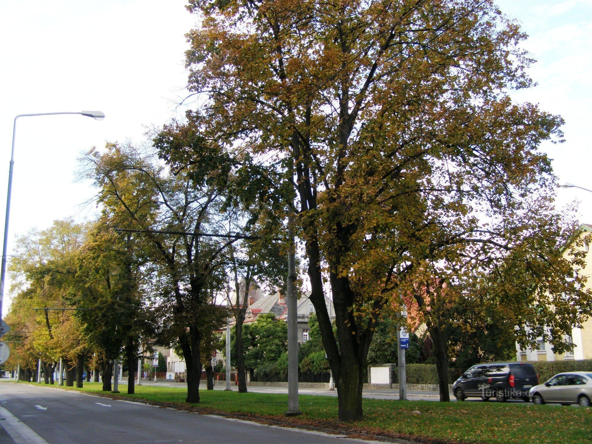 Hradec Králové - calle Střelecká