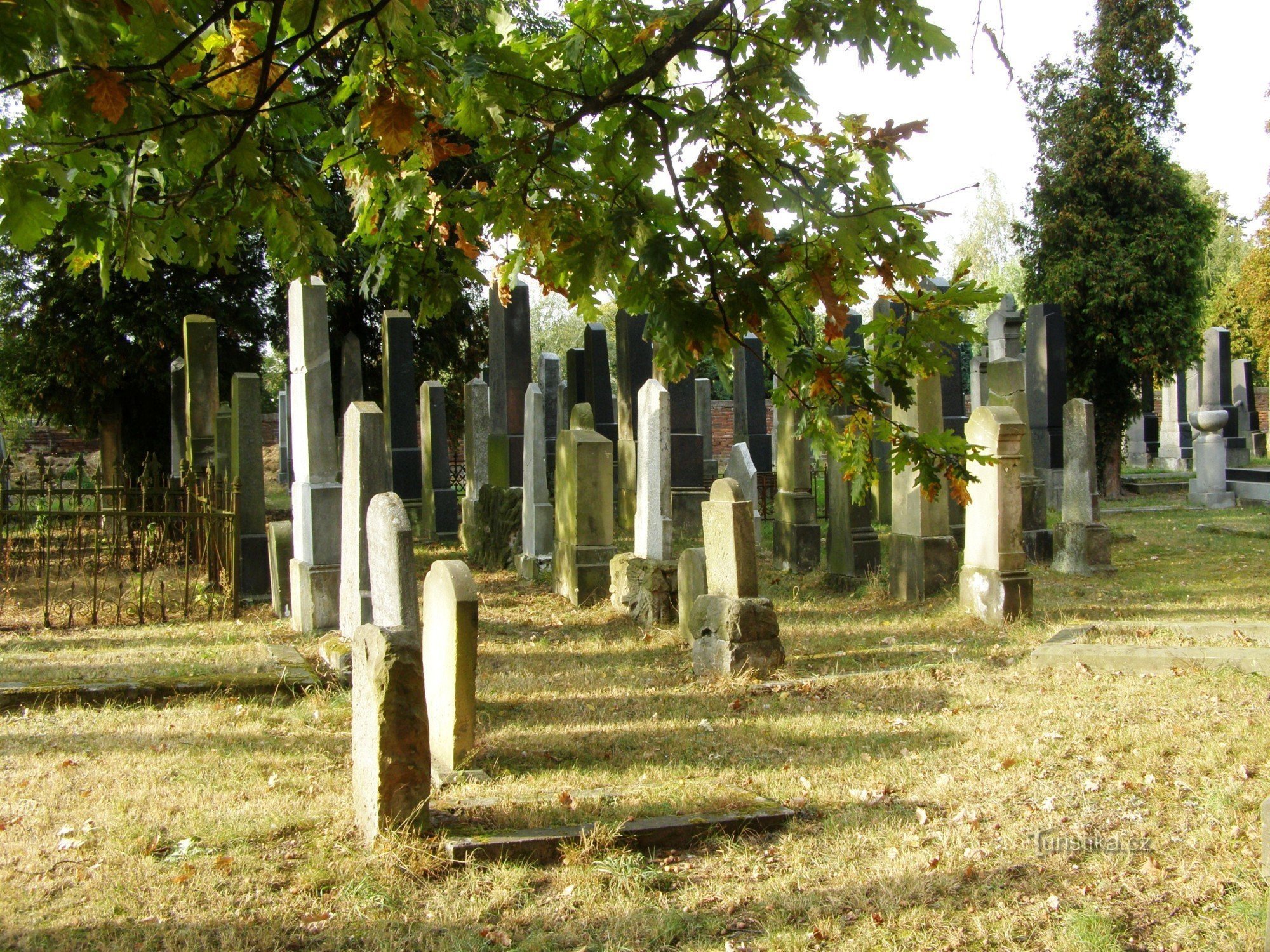 Hradec Králové - cimetière juif, synagogue