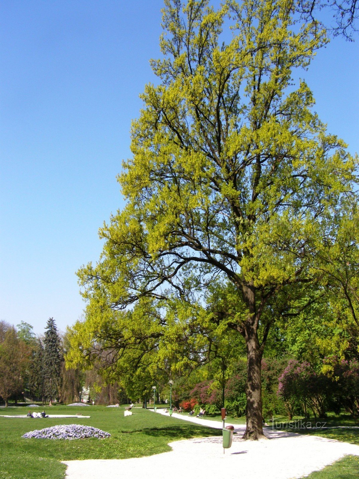 Hradec Králové - Žižkovy sady