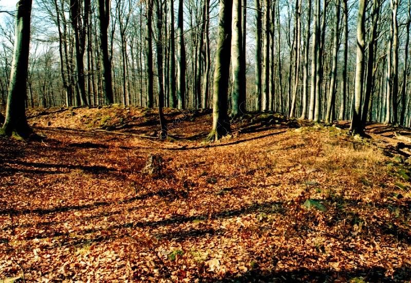 Hradec u Dobřejovic