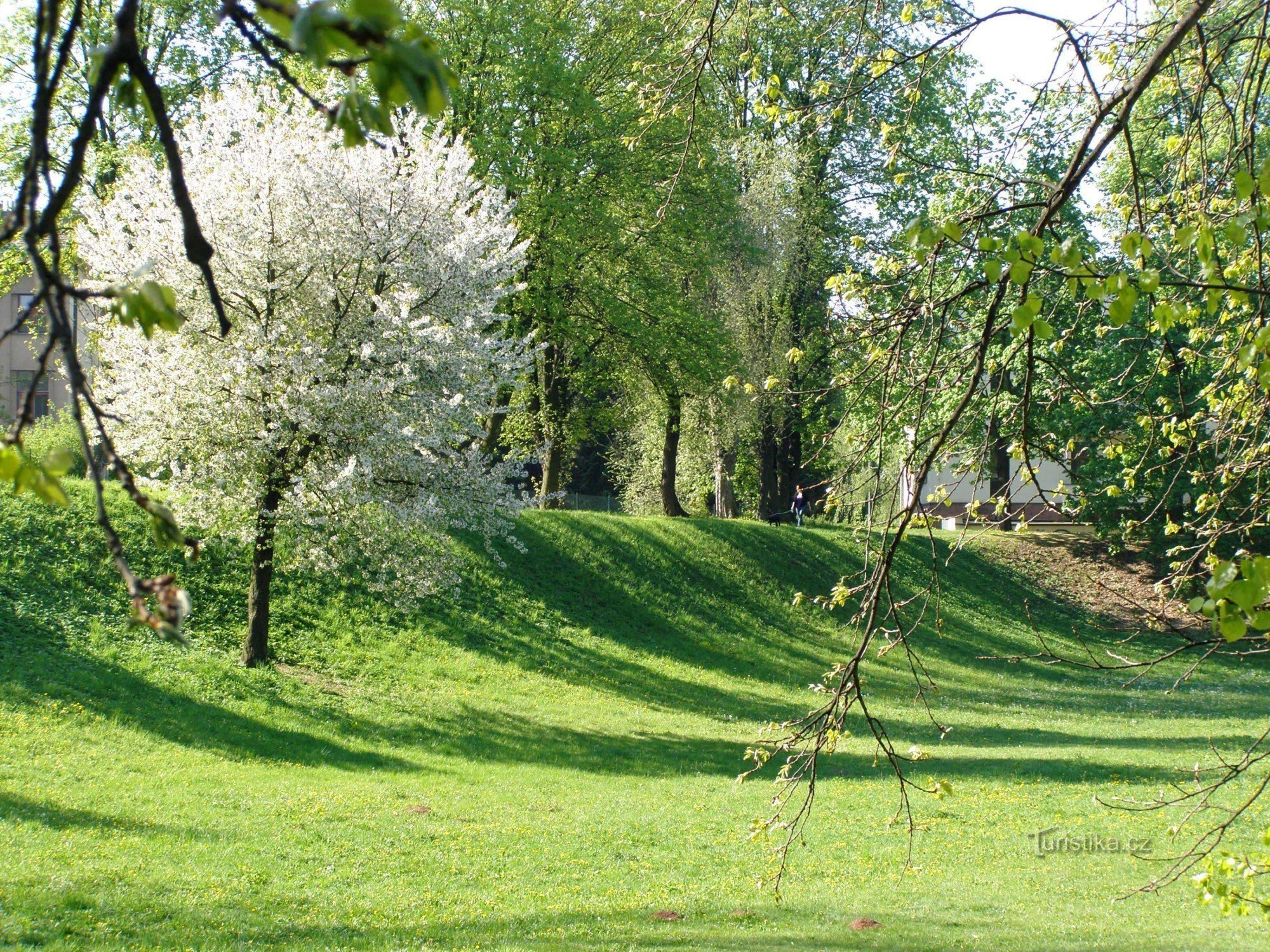 Forteresse de Hradec, vestiges de fortifications - rempart