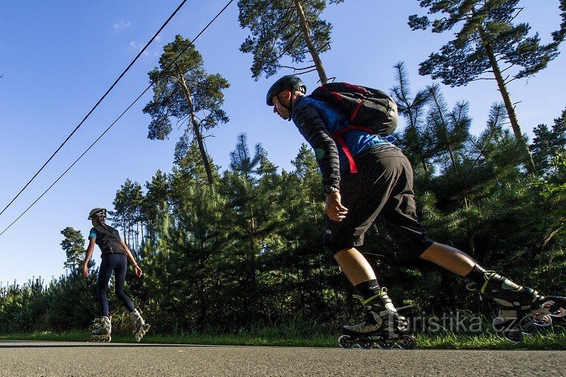 Hradecin metsät täynnä kokemuksia