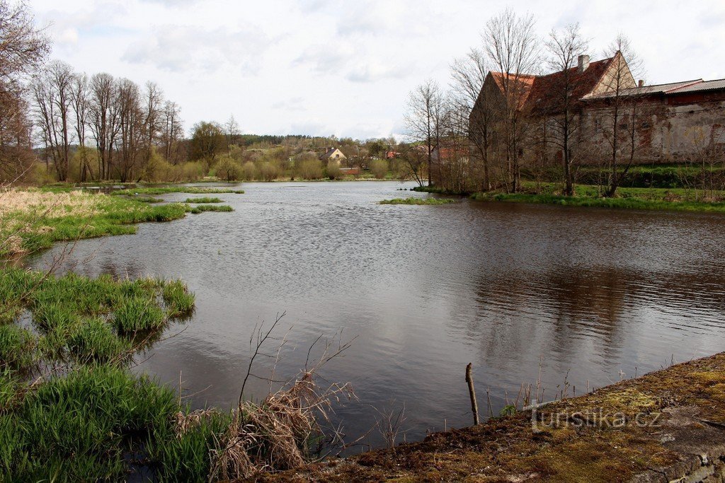 Hrádecký mlin ribnjak, pogled s brane