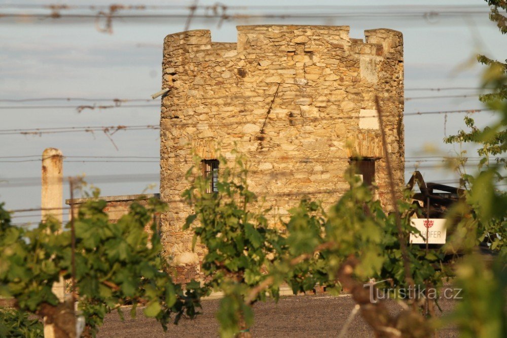 Hrádek Lampelberg - Lahofer vingård; www.vinazmoravy.cz