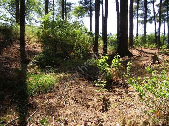 Hrádek u České Břízy