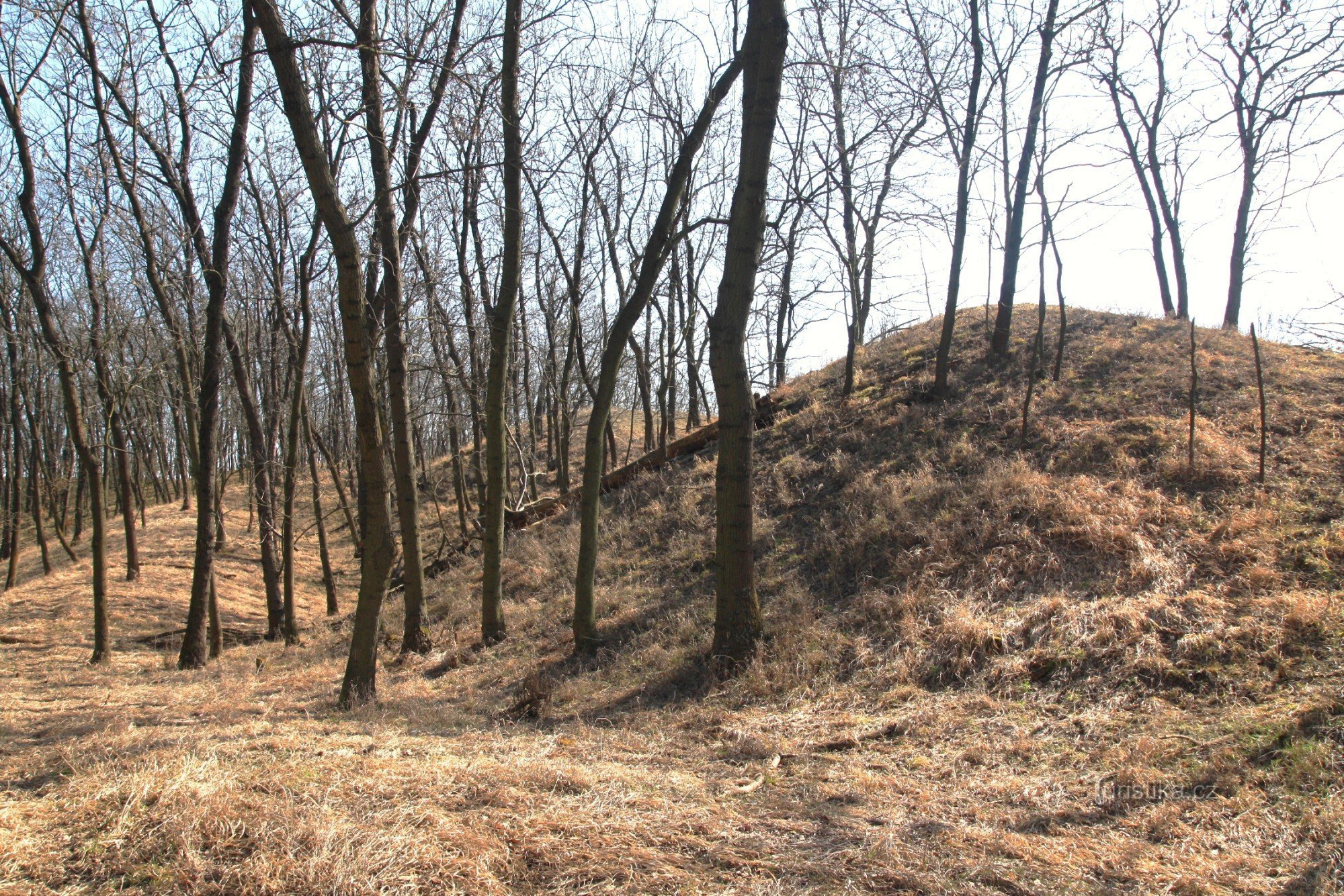 Castle near Drnholka