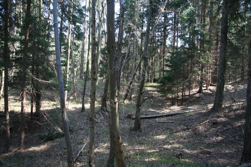 Hrádek u Kněževsi