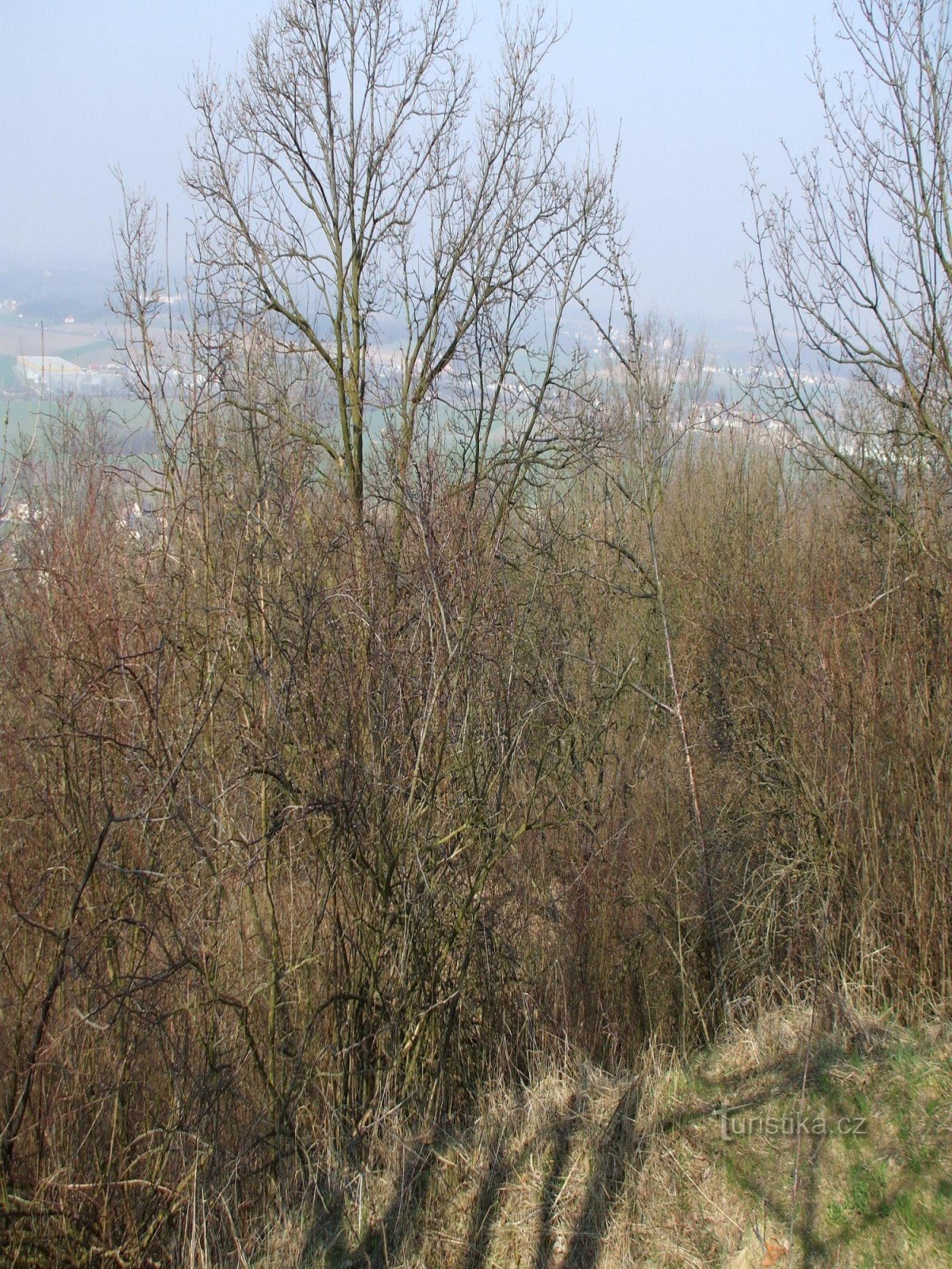 Castillo cerca de Mladá Boleslav