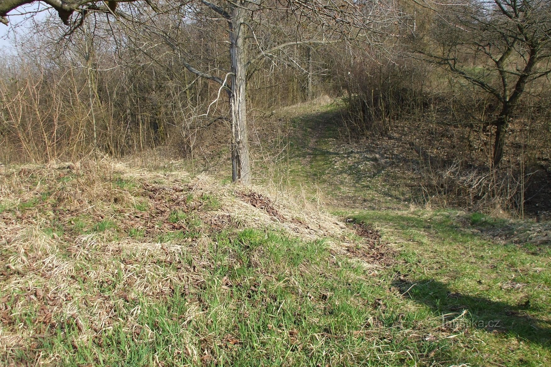 Burg bei Mladá Boleslav