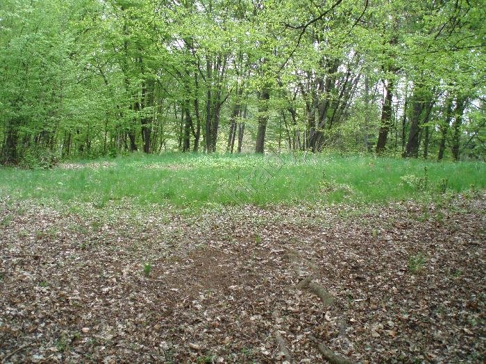 Hrádek u Vřesníka