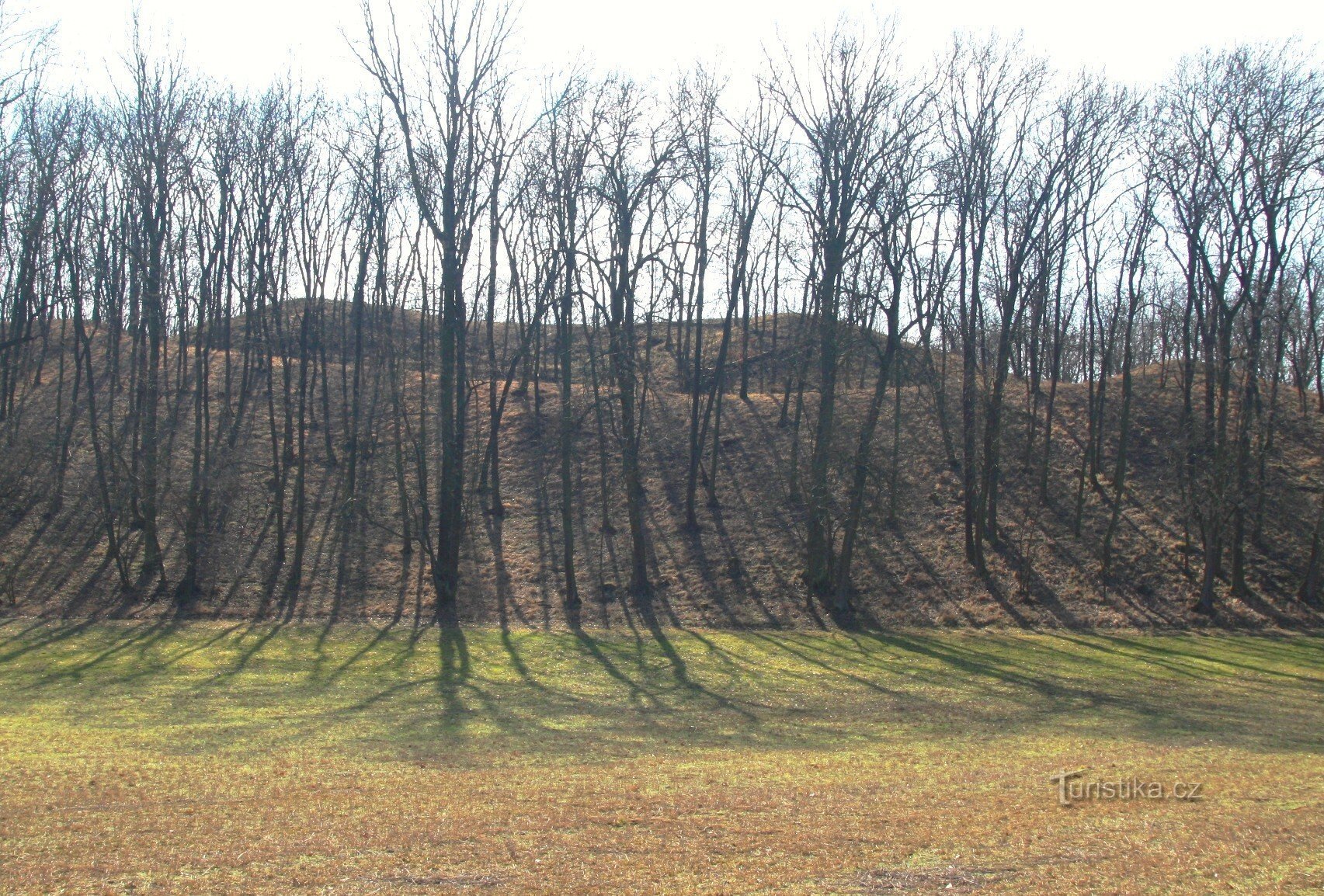 Kasteel vanaf de helling van de vallei vanuit het noordwesten