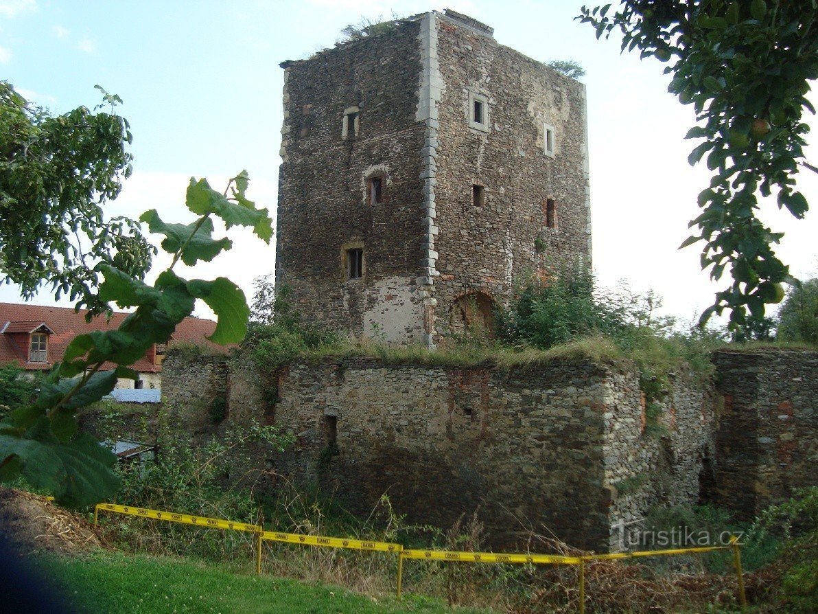Hradenín - pháo đài có hào nước - Ảnh: Ulrych Mir.