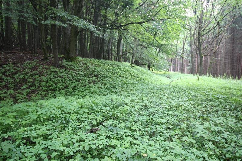 hradiště na Studeném vrchu
