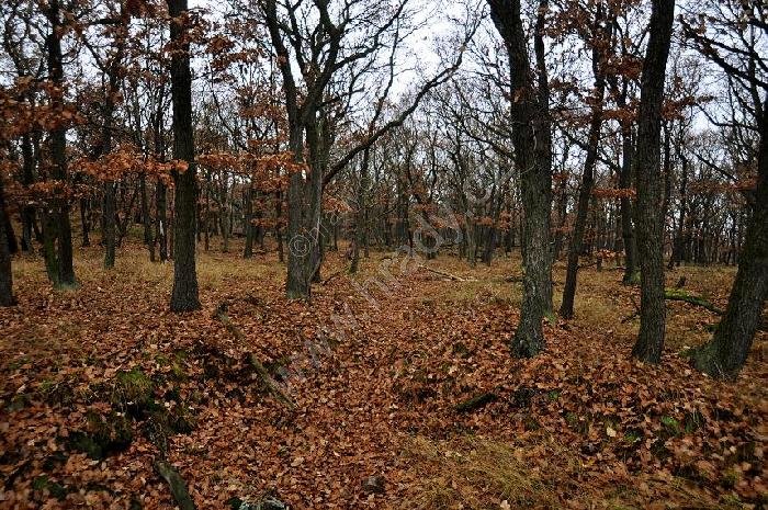 hradiště u Černovic