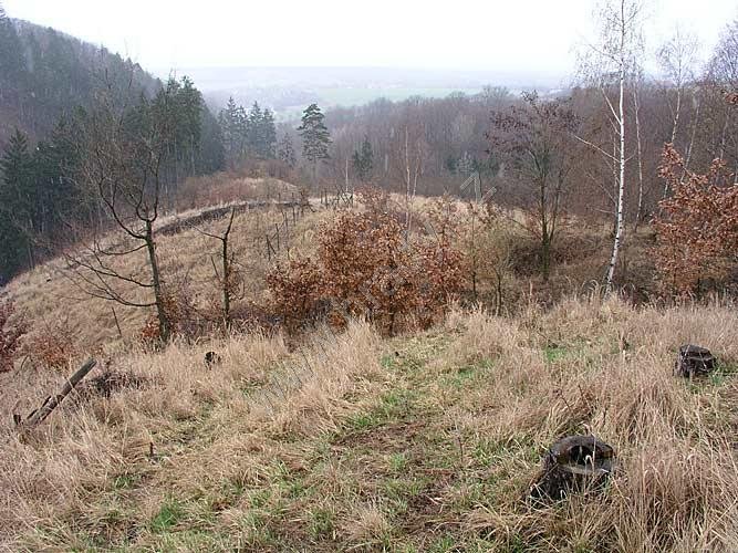 Hradištěk u Jezery