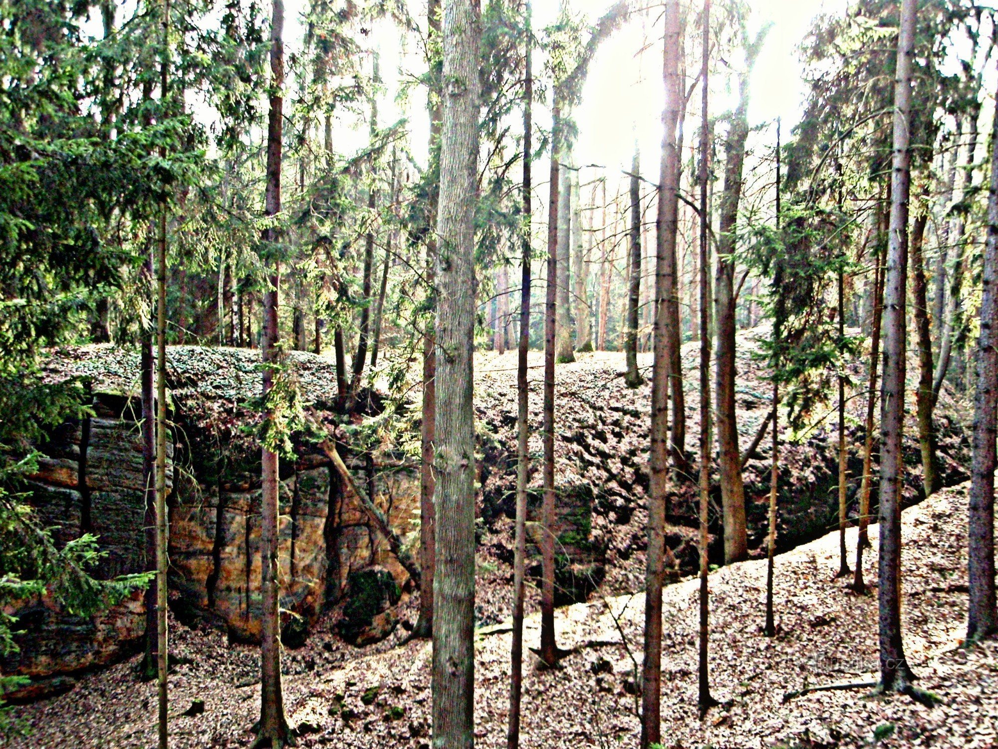 plataforma do castelo