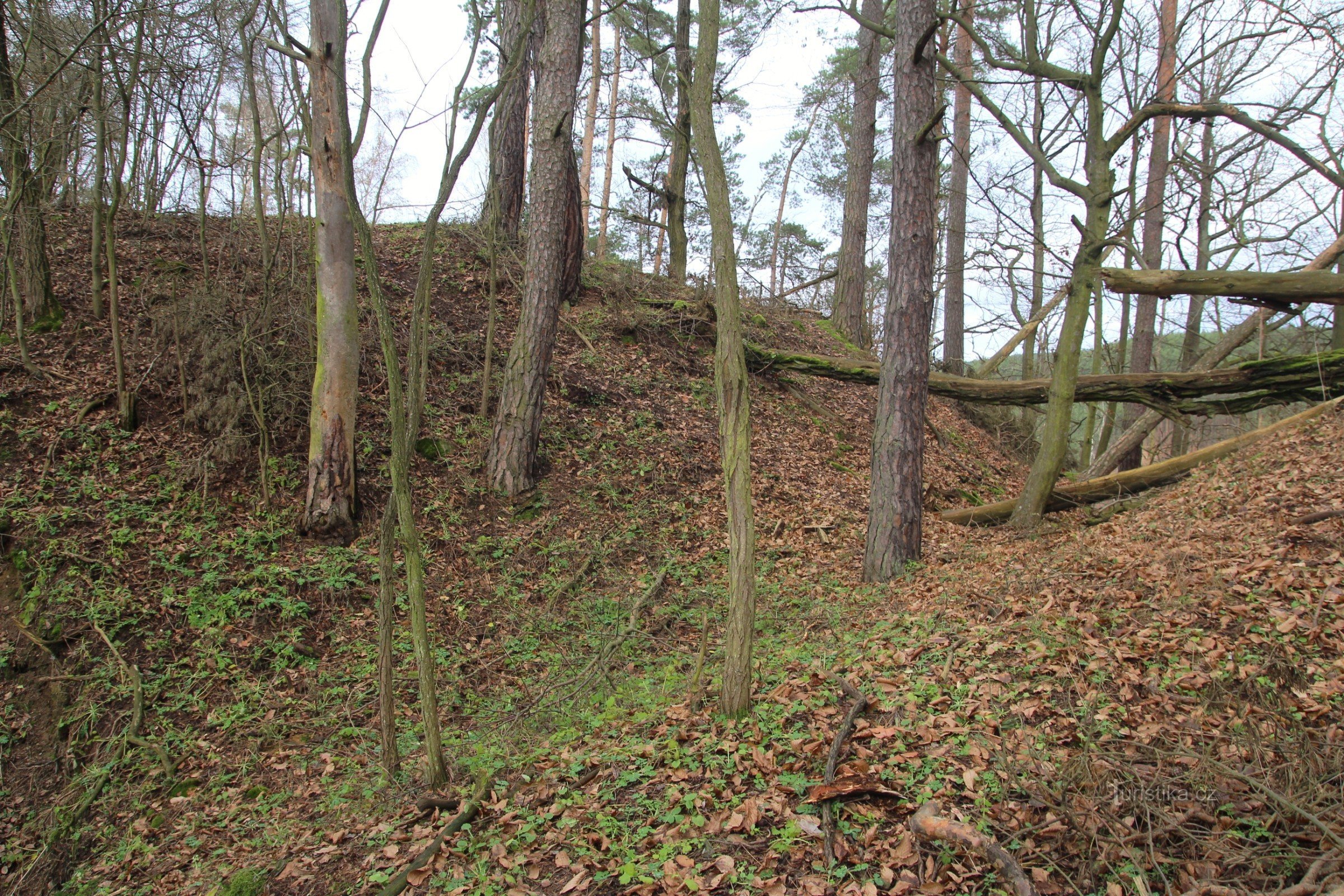 Castle moat from the southeast side