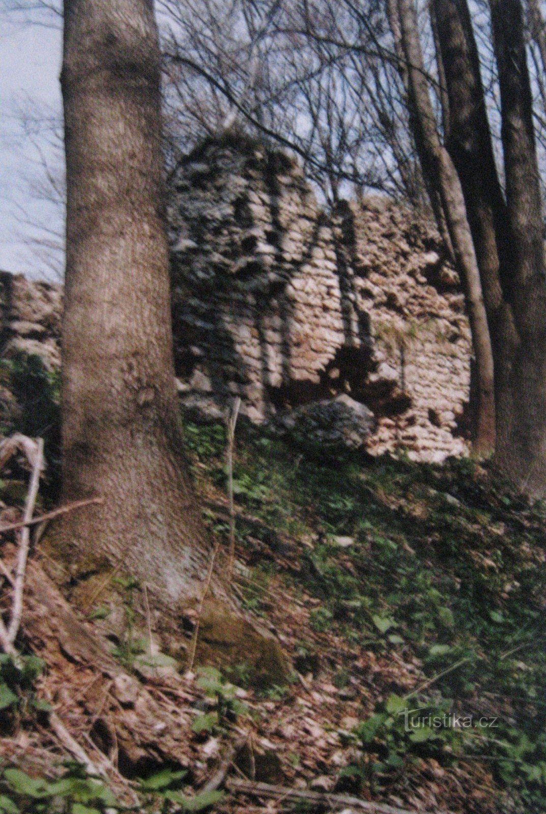 Ερείπια κάστρου
