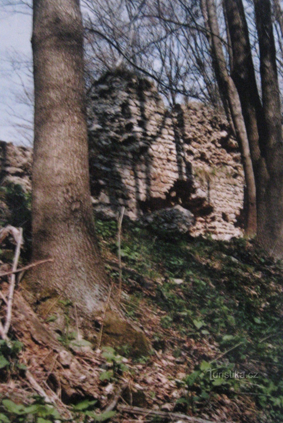 Ruines du château