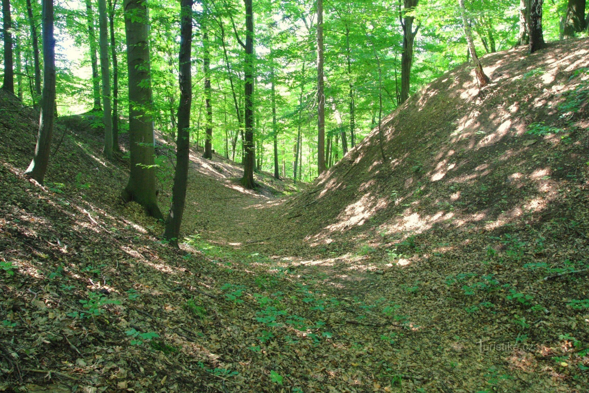 Hradníky - ein tiefer trockener Graben mit einer Zufahrtsstraße