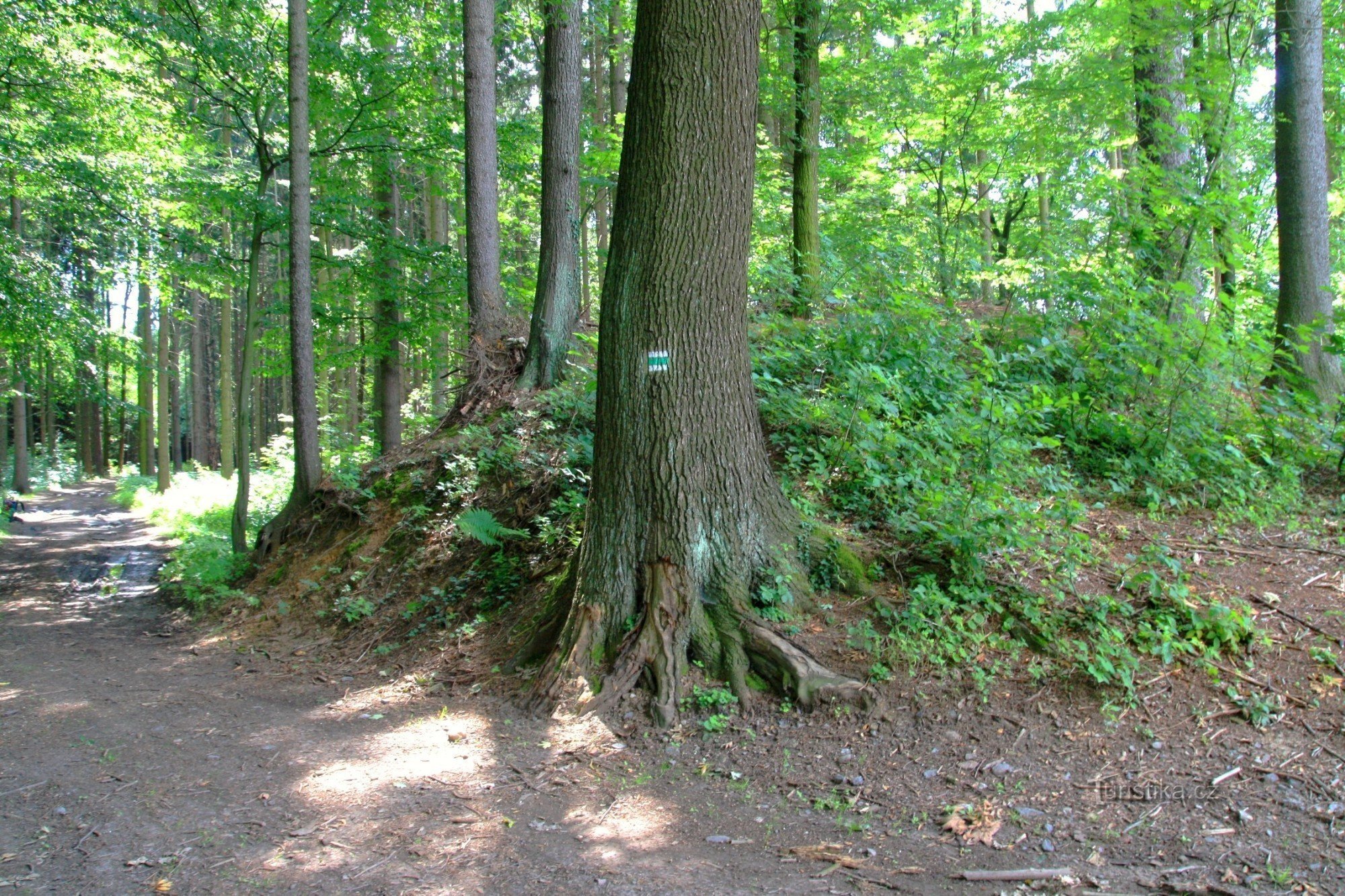 Hradníky - rampart of the former castle in the isthmus on the tourist route