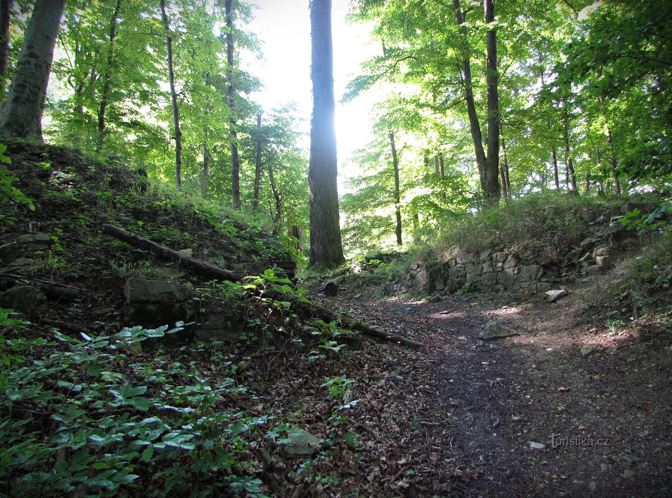 Castles of Hostýnské vrchy - Křídlo