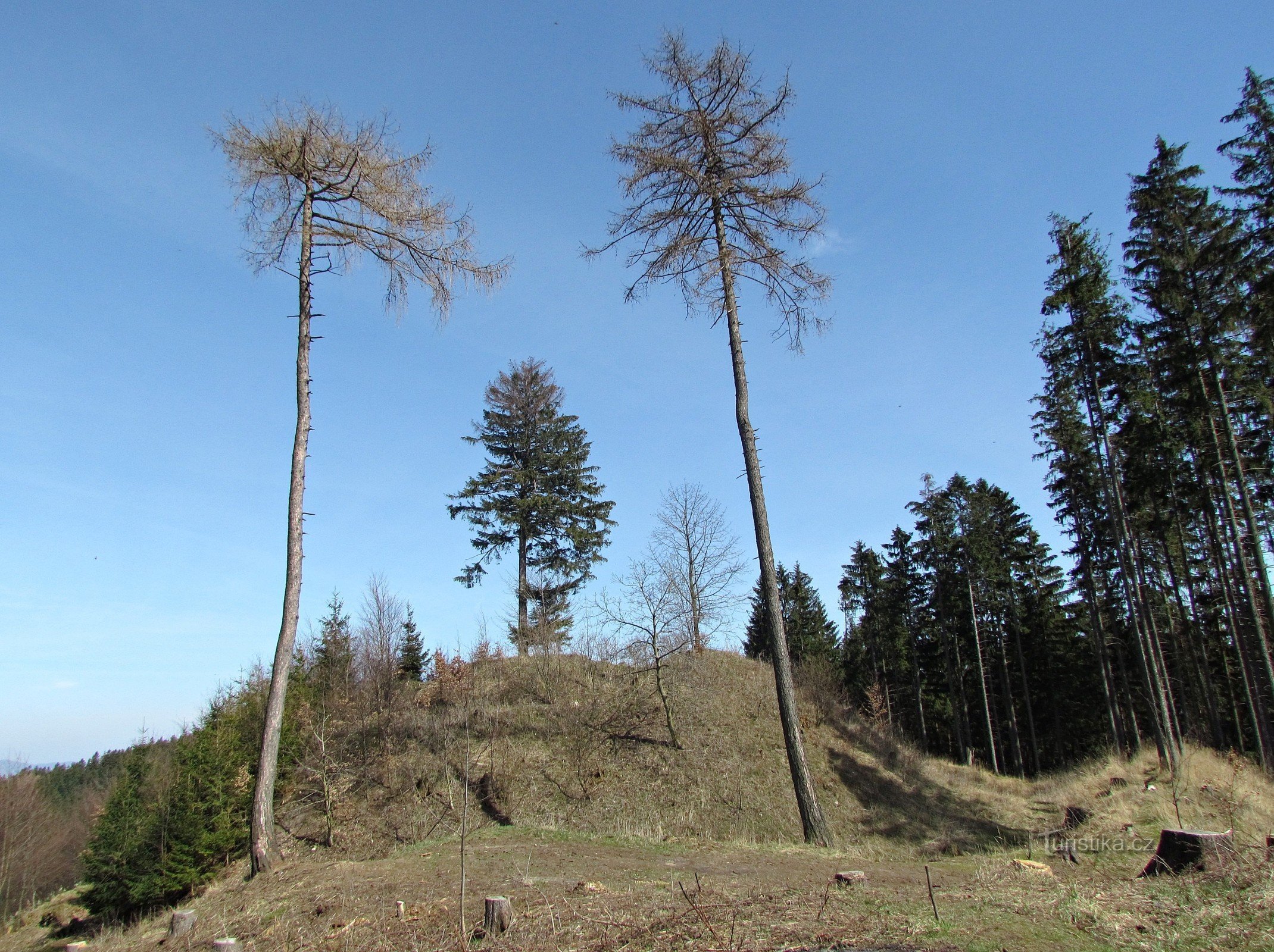 Hostýnské vrchy - Nový Šauburk kastélyai