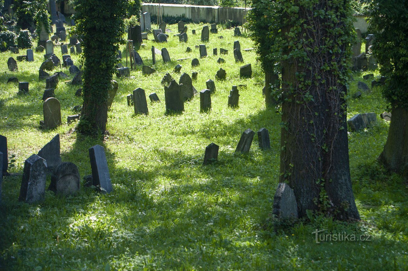 Hranice - cimetière juif