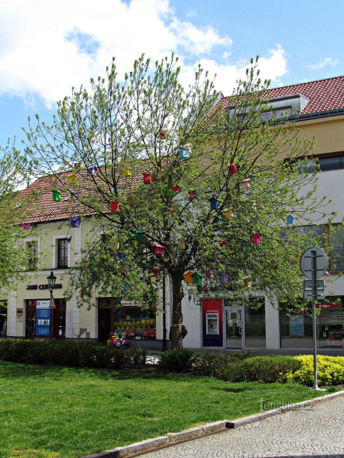 Arborele de margine