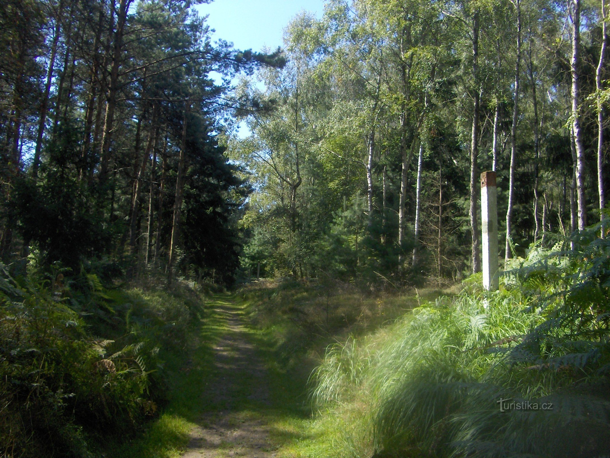 Estrada de fronteira.