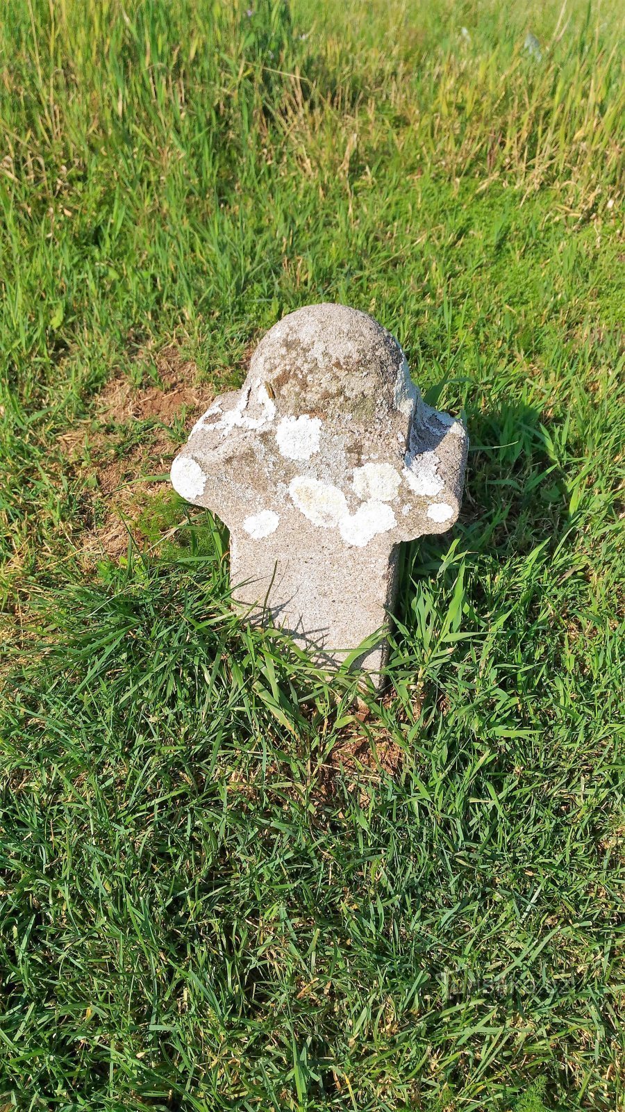 Hraniční kámen na Cínovci.