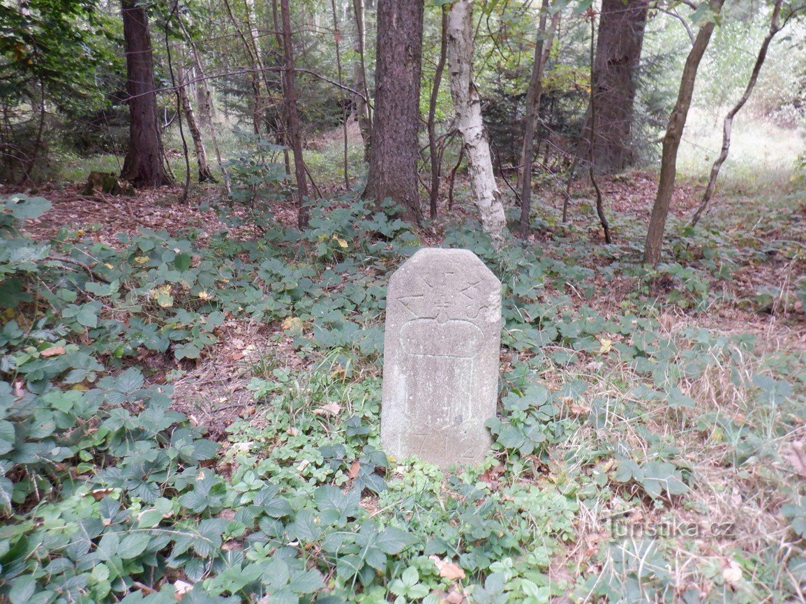 Hraniční kámen pod Špičákem (nedaleko Kounova)