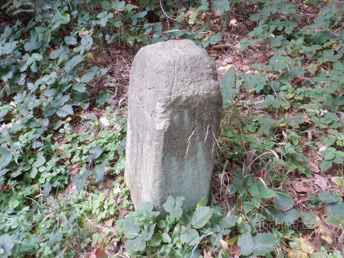 Boundary stone under Špičák (near Kounov)