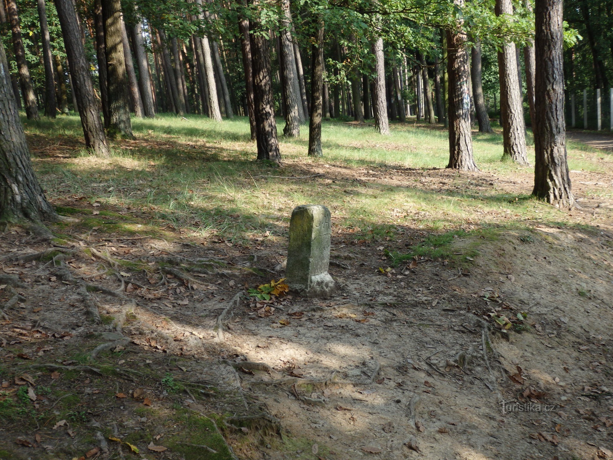 Grenzstein im Naturschutzgebiet Holedná