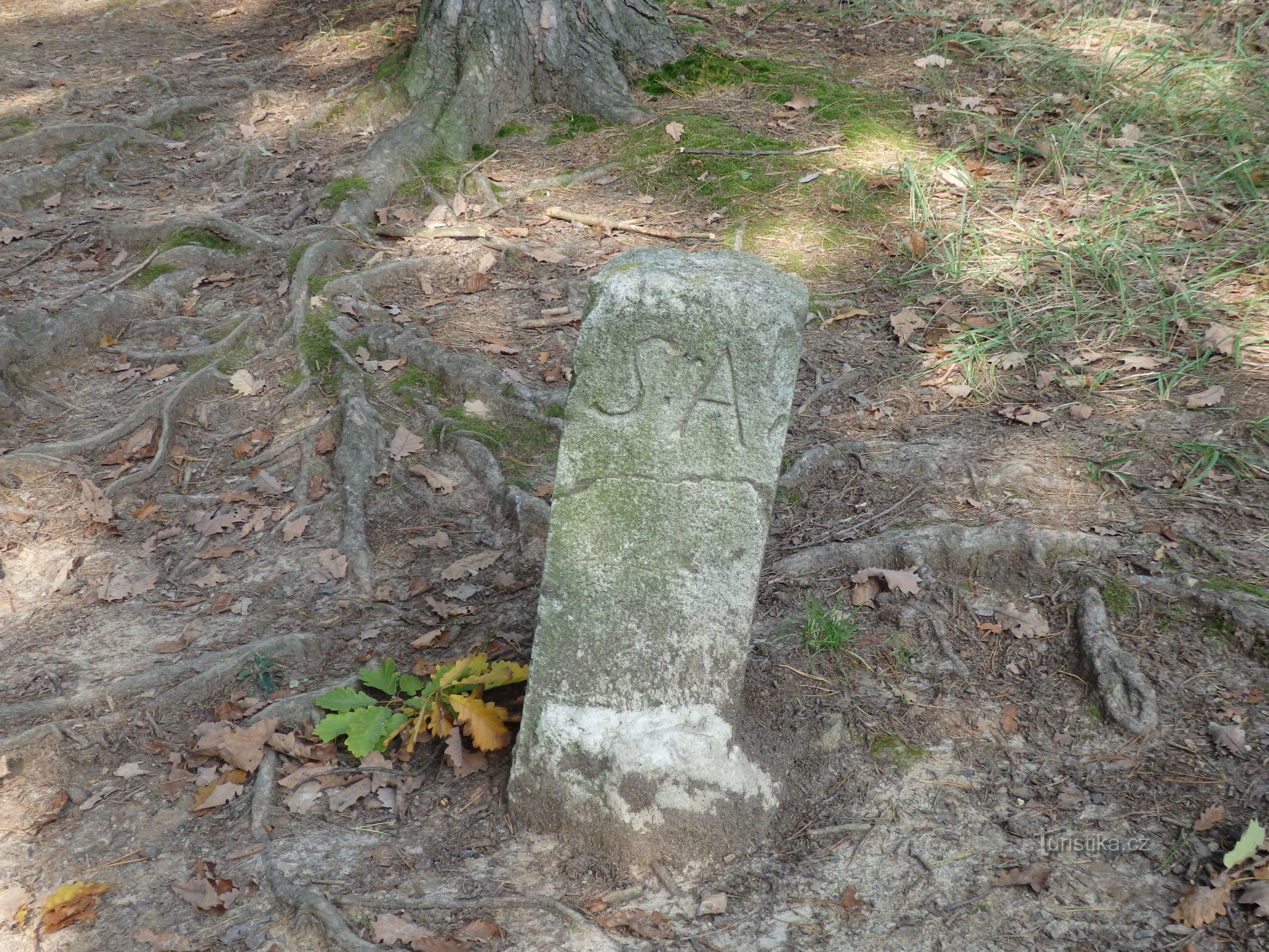 Boundary stone in the Holedná nature reserve