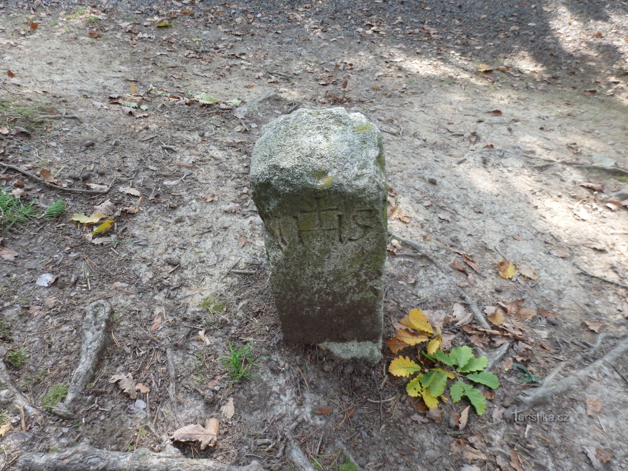 Boundary stone in the Holedná nature reserve