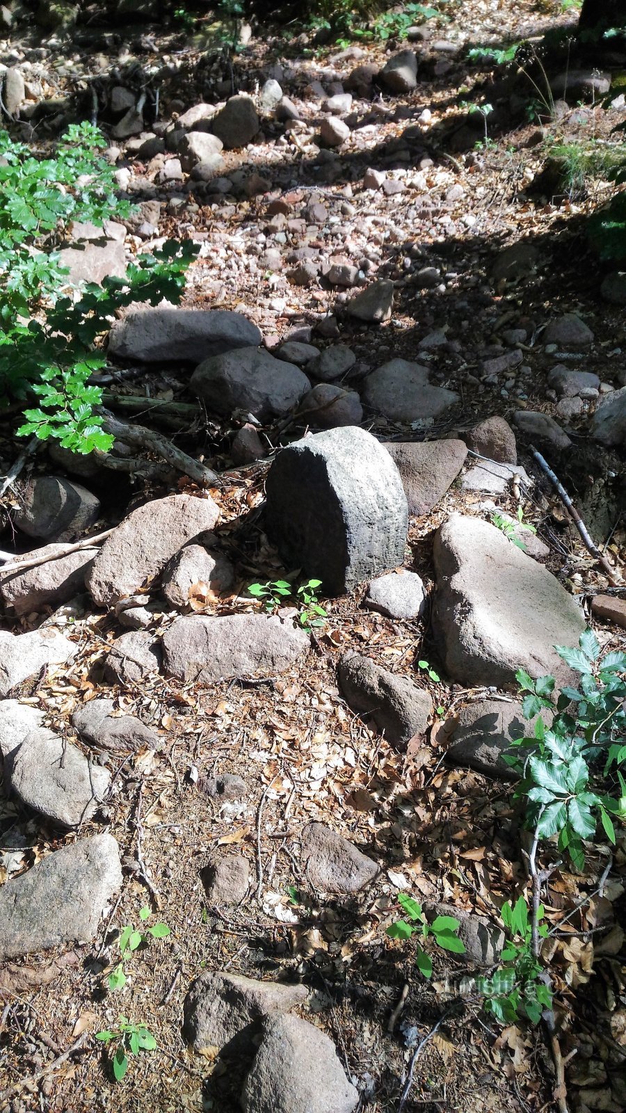 Grensstenen bij Lesní potok in het Ertsgebergte.